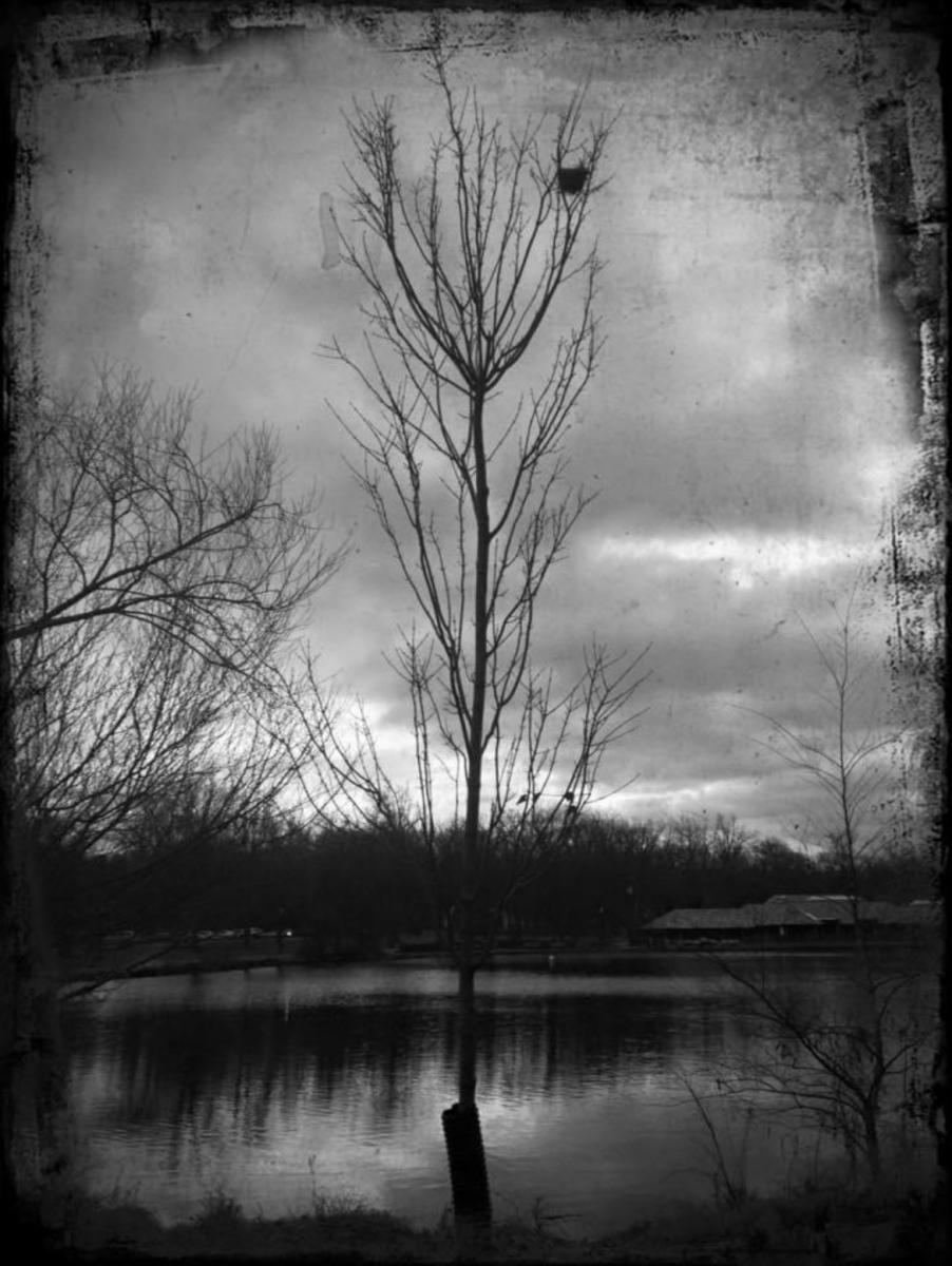 Verona Park at Night